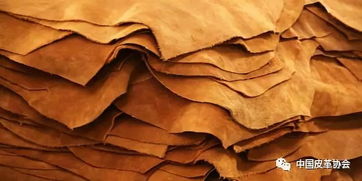 美国原料皮出口增长,皮革行业呈现复苏迹象